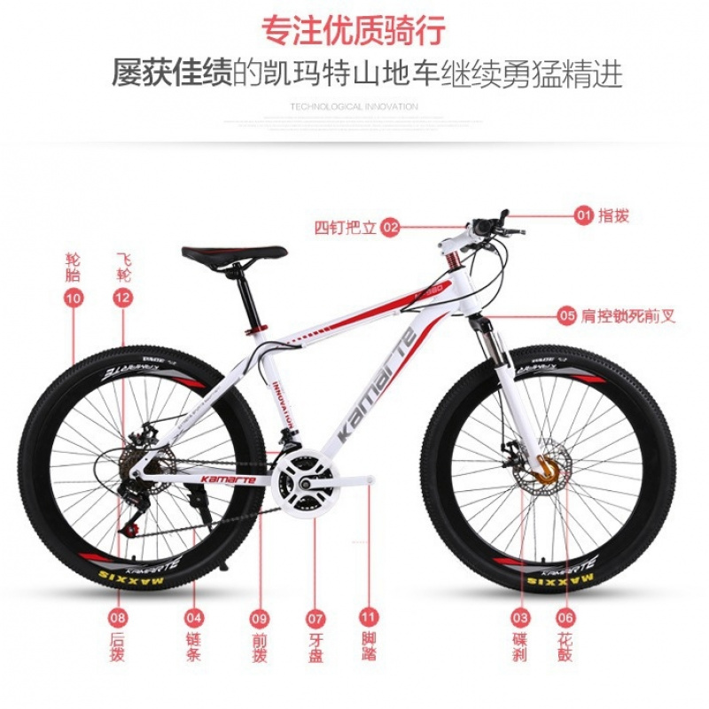 26-inch Youth & Adult Mountain - огляд і ціна Youth Cycling Gear