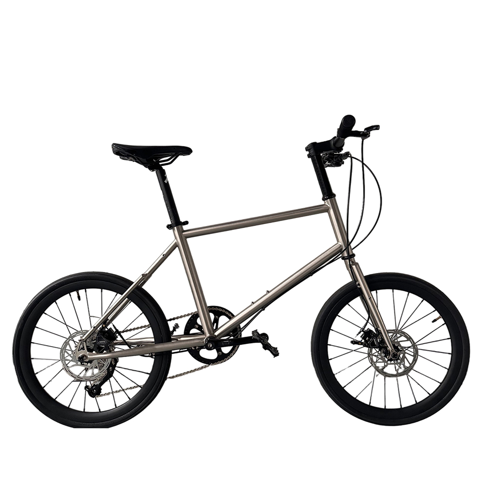 20 Inch Boy Bikes Child Gear B - огляд і ціна Cycling Gear Inches