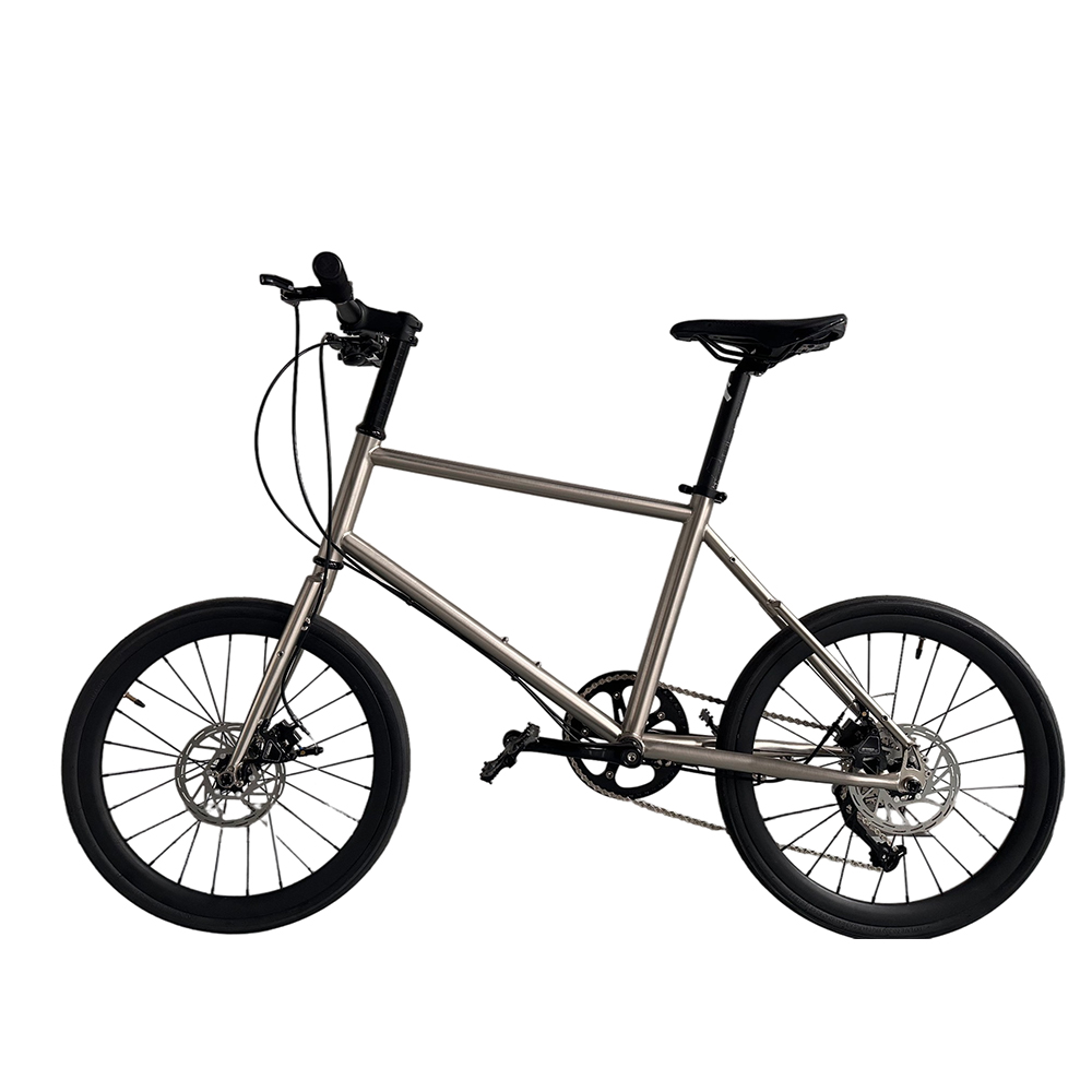 20 Inch Boy Bikes Child Gear B - огляд і ціна Cycling Gear Inches
